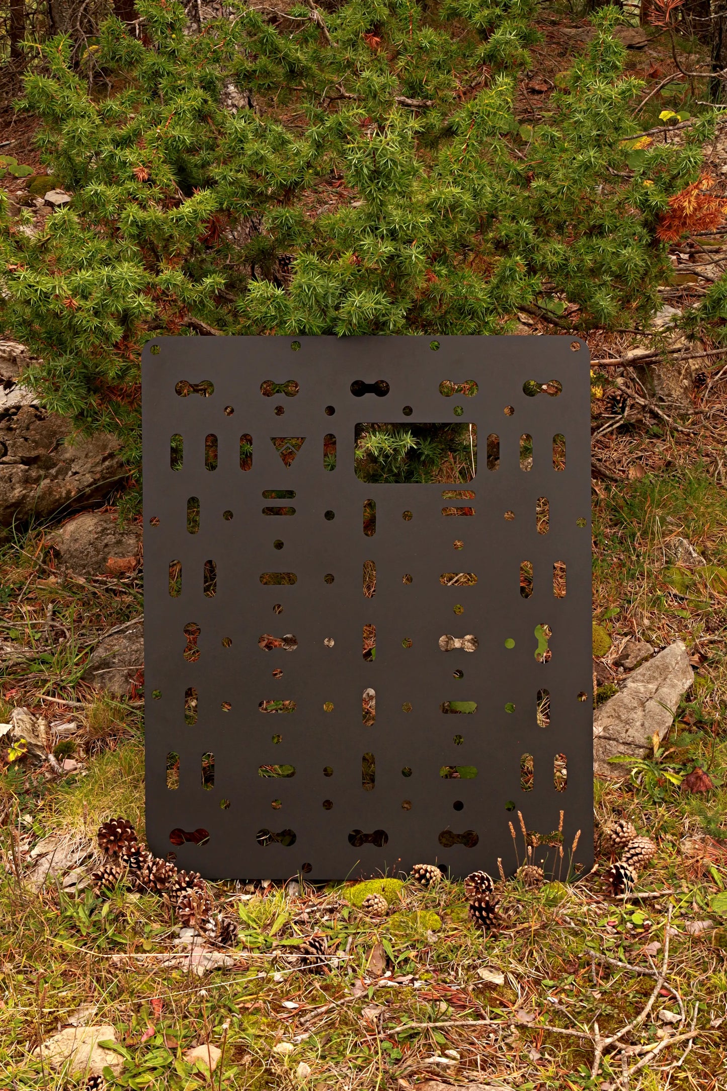 T5/T6 - BarnDoor Karrier